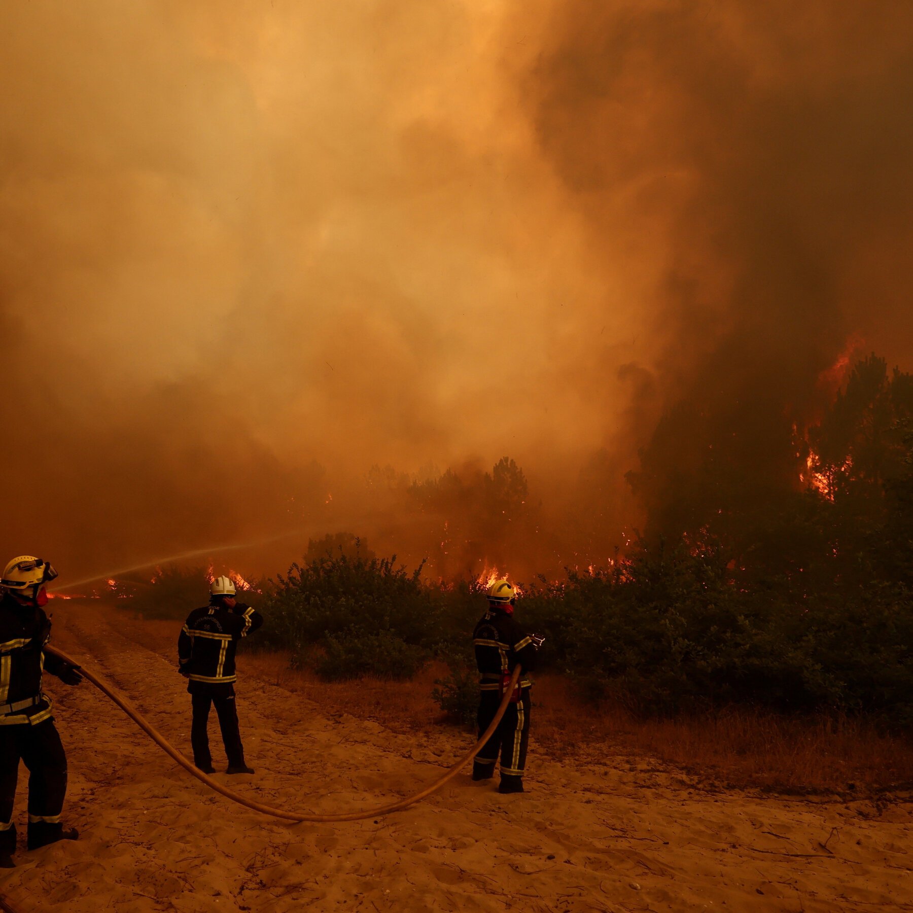 Firefighters in helmets and turnout gear spray water from a hose onto a large wildfire burning through brush and trees, with thick orange smoke filling the sky.