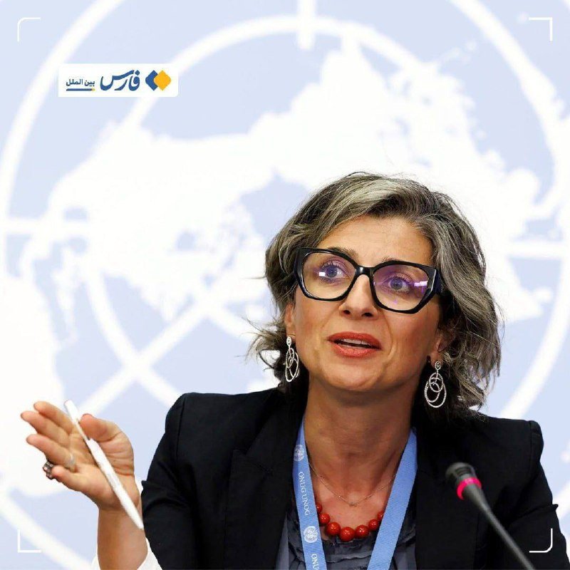 A woman with glasses and gray hair speaks into a microphone, gesturing with a pen, in front of a backdrop displaying the UN emblem.