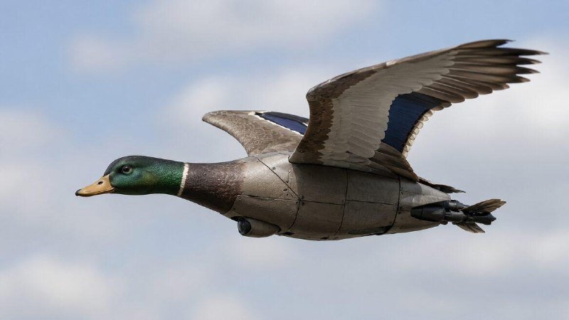A duck decoy with outstretched wings and a green-headed, yellow-billed design is suspended mid-flight against a partly cloudy sky.