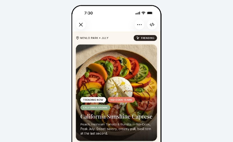 On 2 July 2026 Meta launched Pocket, a standalone social app for AI-built gizmos, hours after CEO Mark Zuckerberg conceded the company's broader agent programme is moving slower than planned.