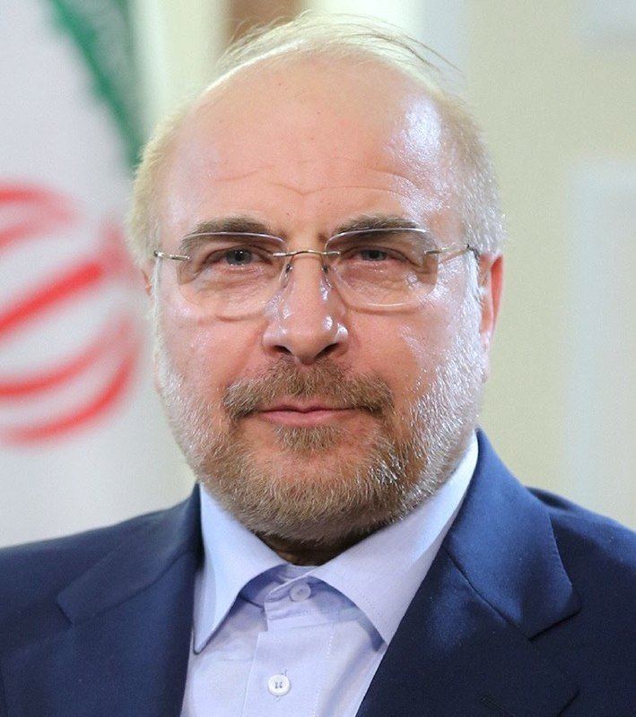 A bearded older man with gray hair and rimless glasses wears a blue suit jacket over a light blue shirt, with a green, white, and red flag blurred in the background.