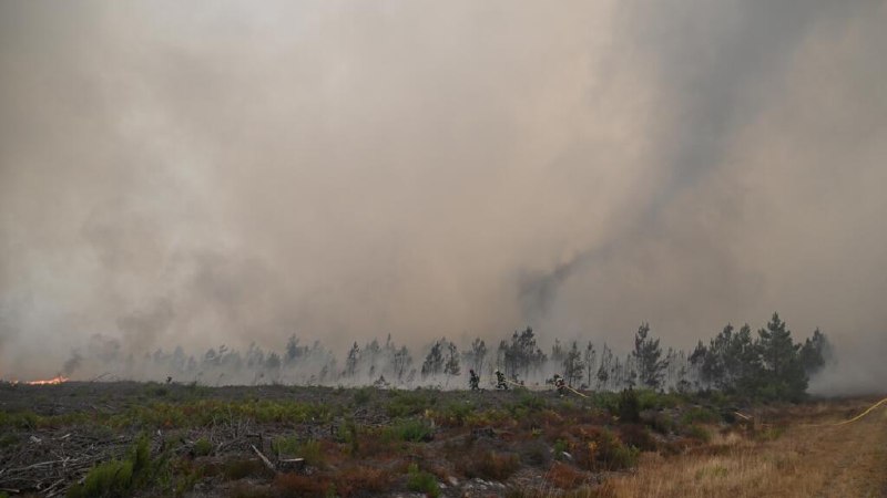 A France–Morocco quarterfinal on Thursday has bookmakers, broadcasters and the Élysée watching the same thing — and prediction markets suggest the favourites are not the favourites.