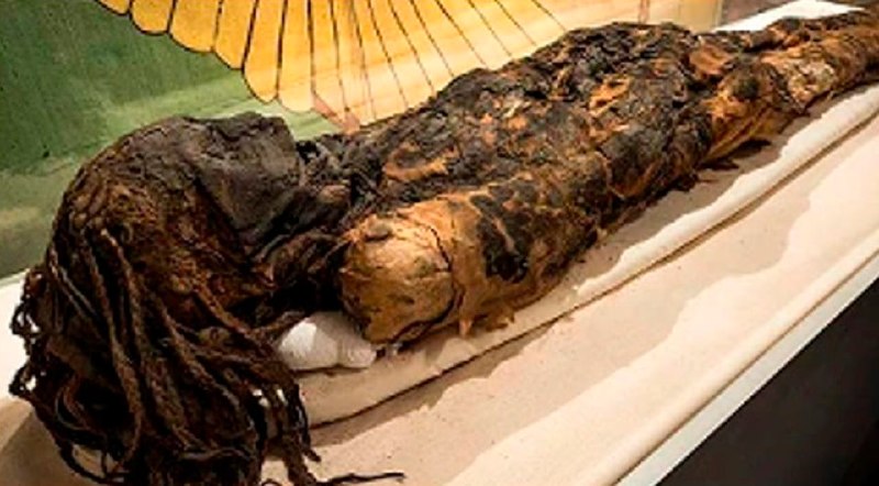 CT-scanned Egyptian mummy of the Braided Woman, held in a US museum collection.
