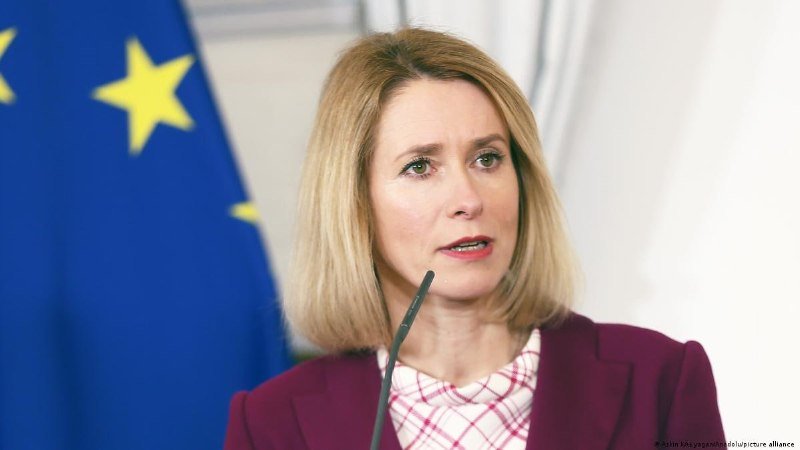 A blonde woman speaks at a microphone, with a European Union flag visible behind her.