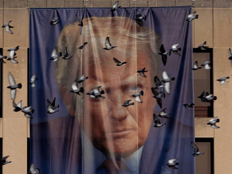 A large banner featuring a man's portrait hangs on a building facade while numerous pigeons fly in the foreground.