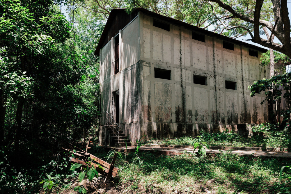 Four years after ‘Domingo and the Mist’ put the San José label on the festival map, Ariel Escalante’s goat‑herding feature has lined up fresh partners ahead of a wider release.