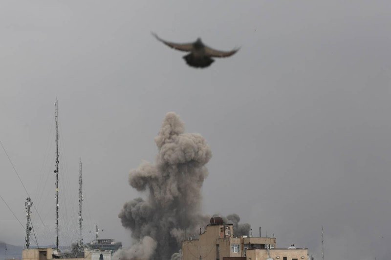 A bird flies through a gray sky above a large plume of smoke rising behind city rooftops and communication towers.