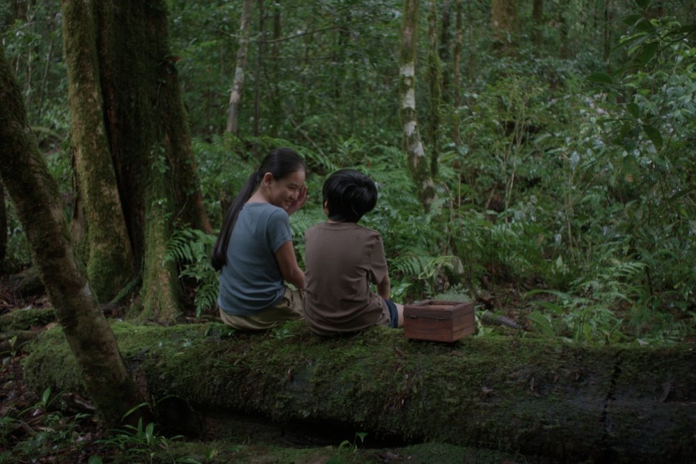 A woman and child sit together on a moss-covered log in a lush green forest, beside a small wooden box.