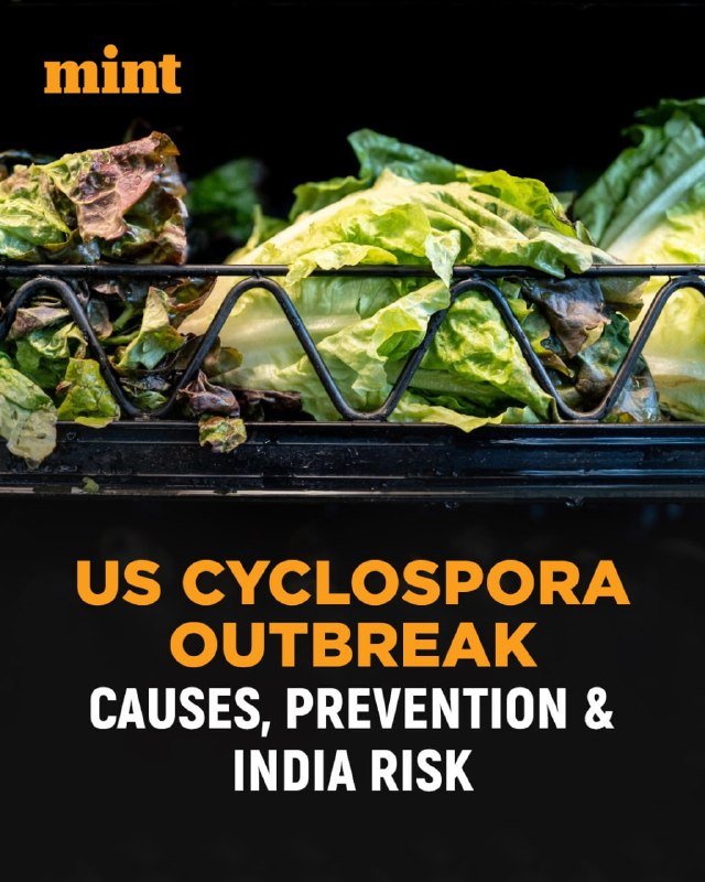 Graphic header featuring the "mint" logo above leafy greens in a black store display bin, with text reading "US CYCLOSPORA OUTBREAK — CAUSES, PREVENTION & INDIA RISK."