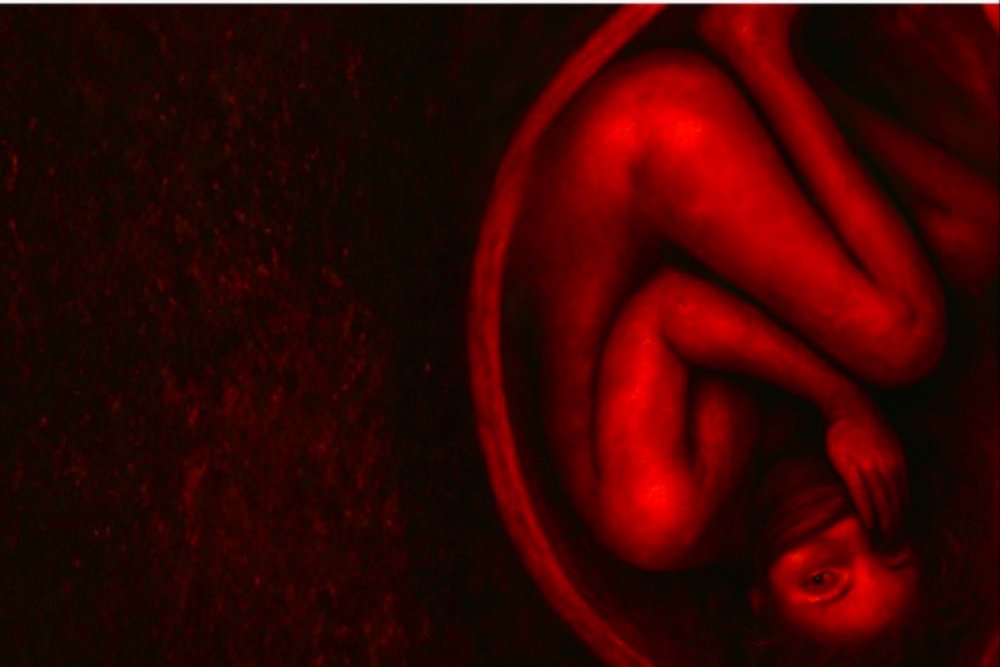 Illustration of a curled human figure rendered entirely in red tones against a dark red, textured background.