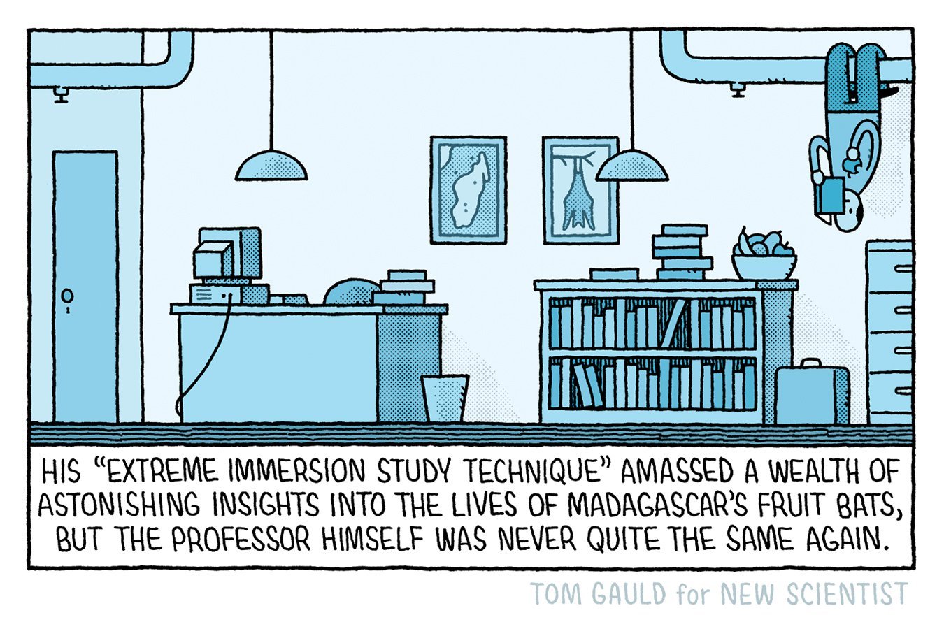 A cartoon illustration by Tom Gauld for New Scientist depicts a professor hanging upside-down from a laboratory ceiling fixture, with desks, bookshelves, framed pictures, and a fruit bowl below.