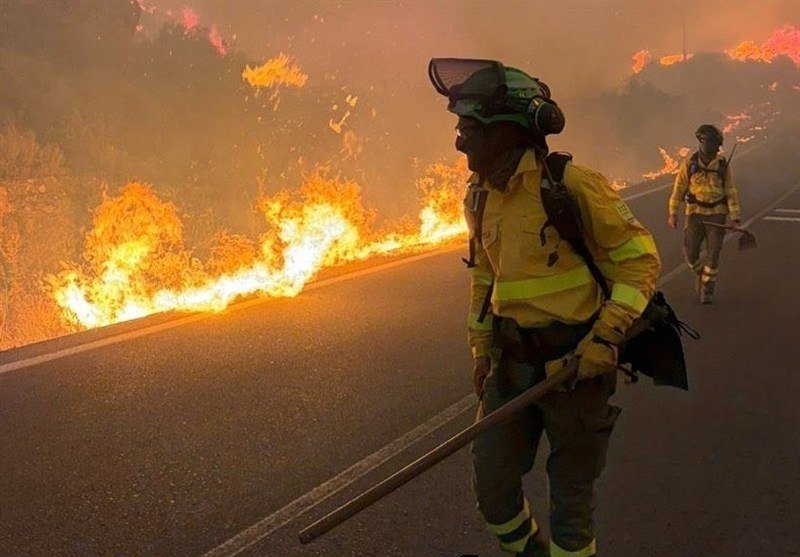 Two firefighters in protective gear and helmets walk along an asphalt road as flames and thick smoke burn through roadside vegetation.