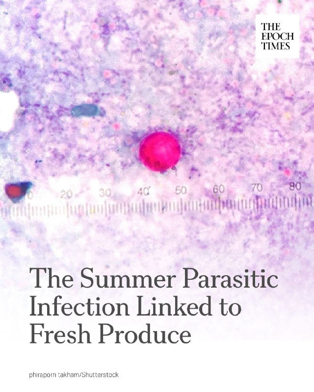 A microscopic image displays a pink-stained spherical organism against a purple cellular background, with a ruler overlay reading up to 80, captioned "The Summer Parasitic Infection Linked to Fresh Produce."