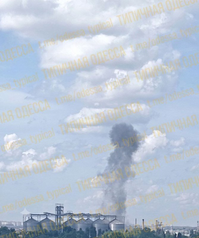 A large plume of dark smoke rises into a partly cloudy sky above an industrial facility featuring grain silos and storage tanks.